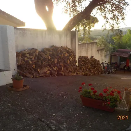 Holiday home La Caballera 17 Santa Maria De Trassierra